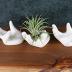 ourhommie 2 PCS Air Plant Holder Cute Ceramic Mini Hand Shape Stand Airplants Tillandsia Small Container Pot Plant Decorative Home Decor for Desk Table Shelf Window, White