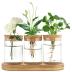 Dahey Plant Propagation Terrarium Desktop Glass Planter Station Water Planting Glass Vase with Lid and Wooden Stand for Propagating Hydroponic Plants Centerpiece Office Home Garden Decor, 3 Pcs