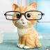 CHOOLD Cute Cat Shaped Resin Eyeglass Holder/Spectacle Holder/Eyeglass Display Stand/Sunglasses Holder Home Office Decoration New Year gift