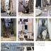 Cats of the World