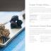 The Blue Zones Kitchen: 100 Recipes to Live to 100