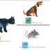 World of Eric Carle, Around the Farm 30-Button Animal Sound Book - Great for First Words - PI Kids