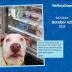 WeRateDogs 2025 Day-to-Day Calendar