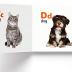 My First Library: Boxset of 10 Board Books for Kids