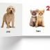 My First Library: Boxset of 10 Board Books for Kids
