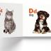 My First Library: Boxset of 10 Board Books for Kids