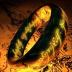 The Lord of the Rings: The Fellowship of the Ring (Four-Disc Special Extended Edition)