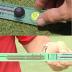 TPK Golf Training Aids - The Putting Stick Pro - Putting Training Aid for Golf Putting Practice with Eyeline Putting Mirror - Endorsed by Golf Instructors & Used by Tour Pros Worldwide