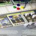 Bezier Games Colony Board Game