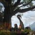 The Witcher 3 Game of the Year Edition (Xbox One)