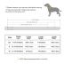 Didog Soft Leather Padded Custom Dog Collar and Leash Set with Personalized Engraved Nameplate,Fit Small Medium Dogs,Blue,XS Size