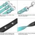 Didog Soft Leather Padded Custom Dog Collar and Leash Set with Personalized Engraved Nameplate,Fit Small Medium Dogs,Blue,XS Size