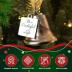 It's a Wonderful Life Inspired Christmas Angel Bell Ornament with Stainless Steel Angel Wing Charm. New Larger Size and Now Comes with 2 Interchangeable Ribbons. (Stainless Steel)