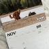 Pooping Pooches White Elephant Gag Gift Calendar