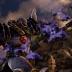 SOULCALIBUR VI: Standard Edition - Xbox One