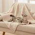 1 Pack 3 Calming Blankets Fluffy Premium Fleece Pet Blanket Soft Sherpa Throw for Dog Puppy Cat Beige Small (23" x16'')