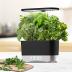 AeroGarden Harvest with Gourmet Herb Seed Pod Kit - Hydroponic Indoor Garden, Black