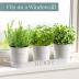 Barnyard Designs Indoor Herb Garden Planter Set with Tray, Metal Windowsill Plant Pots with Drainage for Outdoor or Indoor Plants, Set/3 (White)