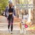 BARKBAY Dog Leashes for Large Dogs Heavy Duty Dog Leash 4/5/6 FT with Comfortable Padded Handle and Highly Reflective Threads for Medium Large Dogs Walking Training Running (5FT-1/2'',Pink)