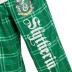 INTIMO Harry Potter Big Boys Houses Plaid Pajama Lounge Pants (Slytherin, 14)