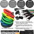 TheFitLife Exercise Resistance Bands with Handles - 5 Fitness Workout Bands Stackable up to 110/150 lbs, Training Tubes with Large Handles, Ankle Straps, Door Anchor Attachment, Carry Bag (110 LBS)