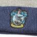 Bioworld Harry Potter Hogwarts Houses Knit Ravenclaw Scarf & Pom Beanie Set