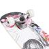 Skateboards for Beginners,31 * 8 inches Complete Skateboards for Kids,Boys,Girls and Adults,7 Layer Maple Wood,Double Kick Deck Concave Standard and Tricks Skateboard