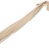 woogwin Women's Cotton Scarves Lady Light Soft Fashion Solid Scarf Wrap Shawl (One Size, beige)