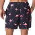 SILKWORLD Men's Swim Trunks Quick Dry Shorts with Pockets