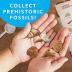 NATIONAL GEOGRAPHIC Rock Collection Box for Kids – 200 Piece Gemstones and Crystals Set Includes Geodes and Real Fossils, Rocks and Minerals Science Kit for Kids, A Geology Gift for Boys and Girls