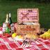 ZORMY Wicker Picnic Basket for 2 Person, Willow Hamper Basket Sets with Insulated Compartment, Handmade 2 Person Picnic Basket Classical Red Check with Utensils Cutlery Perfect for Picnic, Camping