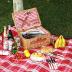 ZORMY Wicker Picnic Basket for 2 Person, Willow Hamper Basket Sets with Insulated Compartment, Handmade 2 Person Picnic Basket Classical Red Check with Utensils Cutlery Perfect for Picnic, Camping