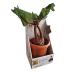 The Noble Collection Harry Potter Electronic Plush Mandrake…