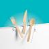 EarthClusive Disposable Wooden Cutlery Set - 300 pcs (150 Forks 100 Spoons 50 Knives) Compostable Utensils Set with Plastic-Free Packaging. Splinter-Free Compostable Cutlery Set for Parties & More