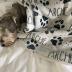 Personalized Paw Print Dog Blanket With Pets Name