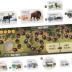 Bicycle The Alpha - A Light Strategy Game for Adults and Family Ages 10 and Up,Grey