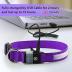 PcEoTllar Light up Dog Collar for Night Walking - LED Dog Collar Light Rechargeable Color Changing, Glow in The Dark Dog Collars Waterproof Glowing Dog Collars for Large Small Medium Dogs