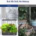 iDOO Hydroponics Growing System Kit 12Pods, Gifts for Mom Women, Herb Garden Indoor with LED Grow Light, House Warming Gifts New Home, Built-in Fan, Auto-Timer, Adjustable Height Up to 11.3" for Home