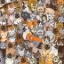 TDC Games World’s Most Difficult Jigsaw Puzzle – Cats – 500 Pieces Double Sided – 15 in