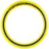 Aerobie Pro Ring Outdoor Flying Disc, 14 inches, Yellow