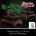 LEGO Icons Bonsai Tree Building Set, Features Cherry Blossom Flowers, DIY Plant Model for Adults, Creative Gift for Home Décor and Office Art, Botanical Collection Design Kit, 10281