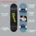 Skateboards -Standard Skateboards for Kids Boys Girls Youths Beginners Starter-Complete Skate Boards 31''x 8''Canadian Maple Pro Cruiser