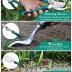 FiveJoy Garden Tool Set, 11 Piece Aluminum Alloy Hand Tool Starter Kit with Garden Bag, Outdoor Tool, Heavy Duty Gardening Work Set with Ergonomic Handle, Gardening Tools