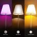 Kasa Smart Light Bulbs, Full Color Changing Dimmable Smart WiFi Bulbs Compatible with Alexa and Google Home, A19, 60 W 800 Lumens,2.4Ghz only, No Hub Required, 2-Pack (KL125P2), Multicolor