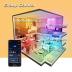 DAYBETTER Smart Light Bulbs, RGBCW Wi-Fi Color Changing Led Bulbs Compatible with Alexa & Google Home Assistant, A19 E26 9W 800LM Multicolor Bulb, No Hub Required, 6 Pack