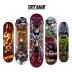 Tony Hawk 31 Inch Skateboard, Tony Hawk Signature Series 4, 9-Ply Maple Deck Skateboard for Cruising, Carving, Tricks and Downhill