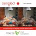 Sengled Alexa, WiFi, Smart Light Bulbs that Work with Alexa & Google Assistant,A19 Soft White(2700K)No Hub Required,800LM 60W Equivalent HighCRI)90,4Count(Pack of 1)