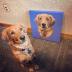 Custom Canvas Prints with Your Photo 8x10 Personalized Canvas Wall Art, Print Your Pictures Photos on Canvas Gifts for Home Decoration