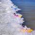 Surfer Dudes Legends & Surfer Pets Wave Powered Mini-Surfer, Pet and Surfboard Beach Toy - Rincon Rex and Santa Cruz