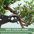 Bonsai Tools Set with Wood Box 12PCS Heavy Duty Bonsai Tree Kit, Trimming Scissor Shears, Concave Cutter, Wire Rolls, Wire Cutter and More, Gardening Bonsai Pruning & Care Kit